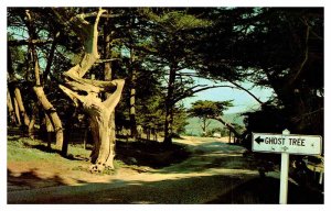 Postcard HIGHWAY SCENE State of California CA AR4711