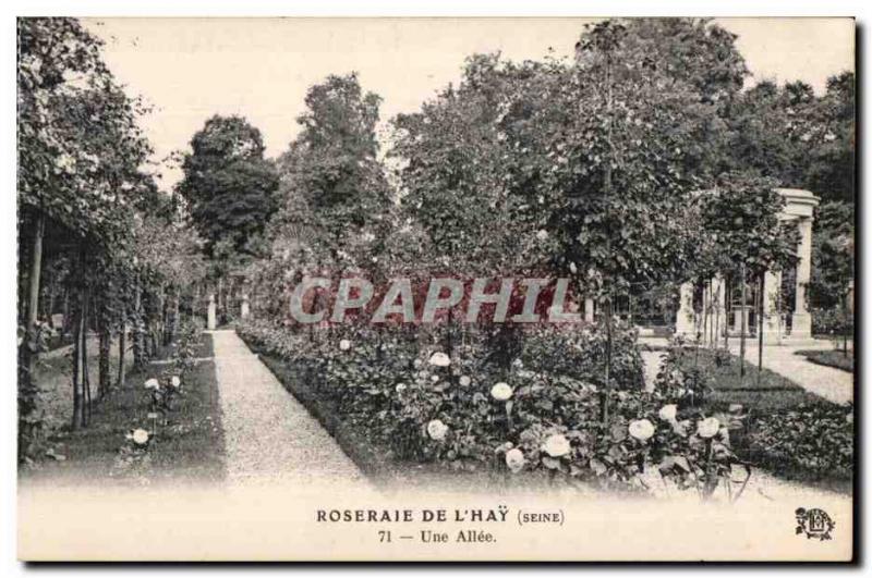 Old Postcard Rose Garden of Hay (Seine) A Allee