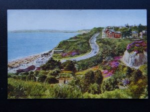 Dorset 2 x BOURNEMOUTH by artist Quinton c1950s Postcard by J. Salmon