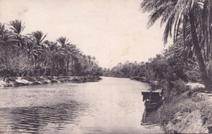 Kora Creek Basra Iraq Boat  Antique Postcard