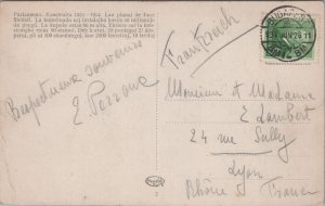 Hungary Budapest Orszaghaz Vintage Postcard  C101