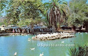 Duck Pond, Hillcrest Park - Fullerton, California CA Postcard