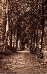 Rhode Island Newport The Walk