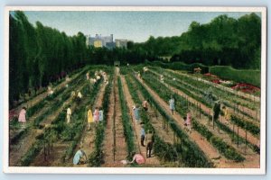 1940 New York City NY Postcard Brooklyn Botanic Garden Aerial View Farming Field