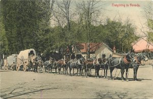 Postcard C-1910 Horse Drawn Covered Wagon hand colored Pacific Nevada 23-13071