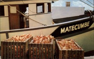 Key West FL Florida Lobsters Fishing Boat MATECUMBE Postcard