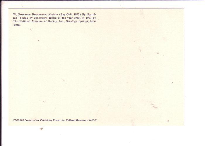 W Broadhead, Nashua, Race Horse