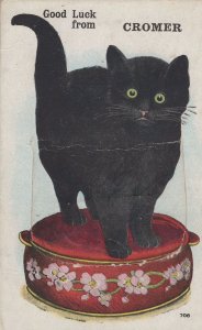 Cromer Black Cat Mailing Novelty Antique Norfolk Postcard