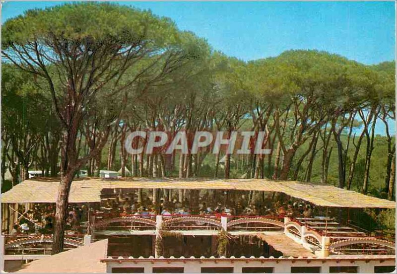 Postcard Modern (Etruscan Riviera) French Village