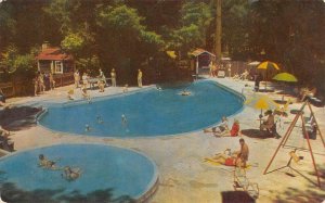 BARNEY MORROW'S Brookdale Lodge Swimming Pool Santa Cruz c1950s Vintage Postcard