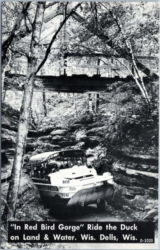 Wisconsin Dells - Tour boat - In Red Bird Gorge - Ride the duck