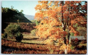 Postcard - Blue Ridge Parkway, Virginia USA