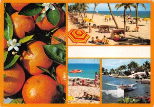 US7 USA Fl Florida 1998 orange county multi view