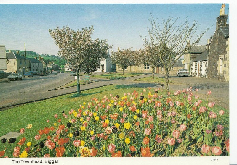 Scotland Postcard - The Townhead, Biggar, South Lanarkshire  8080