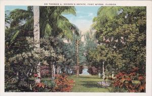 Florida Fort Myers On Thomas A Edison's Estate