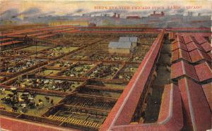 Chicago Illinois~Union Stock Yards~Overlooking Cattle Pens~Barns on Right~1911