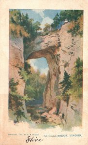 Vintage Postcard 1904 Natural Bridge Geological Formation Rock Bridge Arch VA