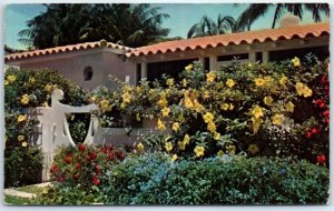 Flowering shrubs, vines and rare tropical blossoms in your own front yard - FL