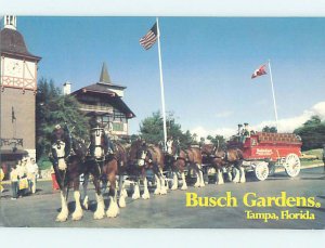 Pre-1980 BUDWEISER HORSES AT BUSCH GARDENS Tampa Florida FL AF9771