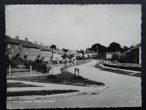 Northamptonshire DAVENTRY Dryden Avenue c1960s RP Postcard by Frith