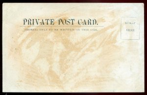 1344 - ST. MARTINS New Brunswick Postcard 1900s Main Street