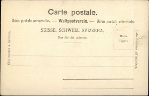 Grindewald Switzerland Bear Hotel Multi View c1900 Postcard