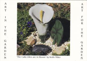 Art In The Garden Calla Lillies In Bloom By Keith Miller Sugar Lake Pottery P...
