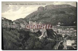 Old Postcard Monaco Prince's Palace and Dog Tete