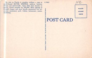 Underwater Silver Springs, Florida, USA Unused 