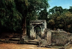 Ruins City of Gedi Malindi,Kenya