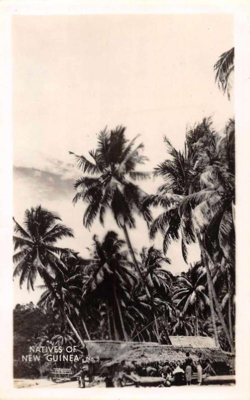 New Guinea Natives and Huts Scenic View Real Photo Antique Postcard J66623