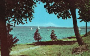Vintage Postcard Lake Washington And Mount Rainier Water Sports Beautiful Scene