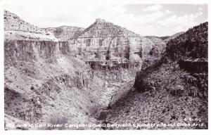RPPC Salt River Canyon Scene US 60 Springerville Globe, AZ Unposted Postcard B09