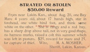 Advertising Postal Card, Stolen Bay Mare, M.A. Mosher Sheriff, Lakin Kansas