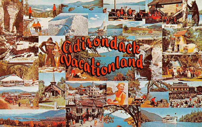 Adirondack Vacationland State Park Multi View New York postcard