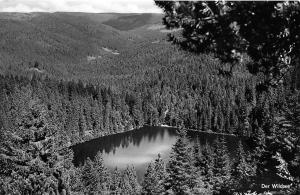 BG7885 naturschutzgebiet wildsee baiersbronn schwarzwald  germany CPSM 14x9cm