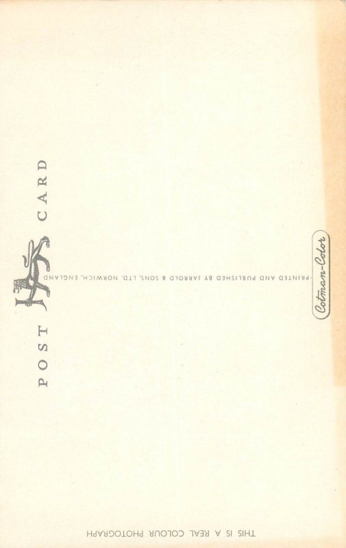 UK England Devon Buckfast abbey clocktower