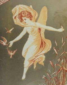 1870's-80's Victorian Trade Card Beautiful Fairy Flying Wheat Birds &C