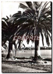 Modern Postcard Antibes viewwith the old town