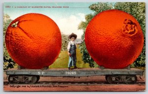 c1910 I'm Sending A Carload of Mammoth Oranges Train Flatcar Postcard E Mitchell