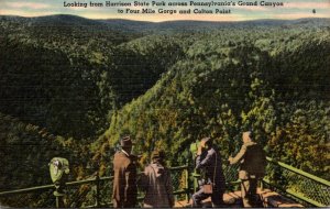 Pennsylvania Grand Canyon Looking From Harrison State Park To Four Mile Gorge...