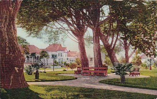 California San Francisco California Homes Among The Trees