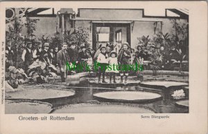 Netherlands Postcard - Groeten Uit Rotterdam - Serre Diergaarde  RS33581