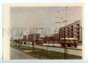 254008 Lithuania Klaipeda buses on street old postcard