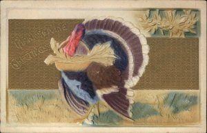 Thanksgiving Turkey Embossed Airbrushed c1910 Vintage Postcard