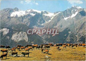 Postcard Modern Dome Monetier (3406m) and Agneux (3663m) the Brianconnais Cows