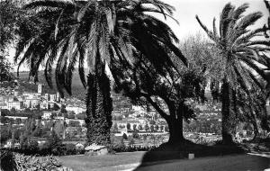 BR39017 vue generale sur la ville a travers les palmiers grasse france