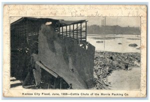 1908 Cattle Chute Morris Packing Co.  Kansas City Flood Vintage Antique Postcard