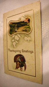 Thanksgiving Greetings Postcard Turkey J. J. Marks Posted Green 1 Cent Stamp