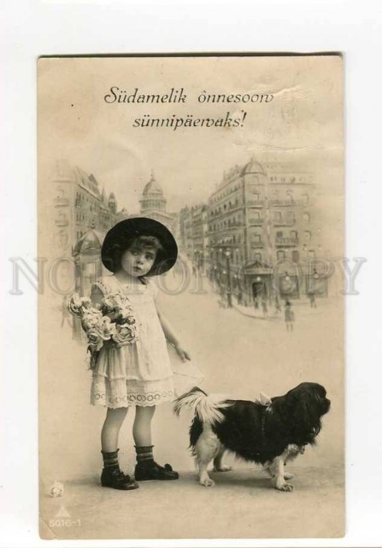 270593 FASHION Little Girl KING CHARLES SPANIEL Vintage PHOTO